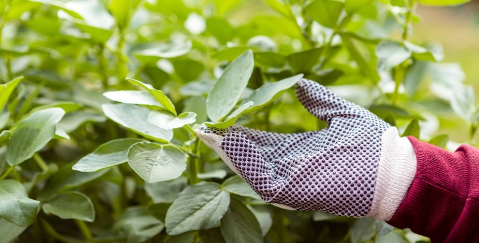 Como o Cropvit contribui para o aumento da produtividade agrícola?
